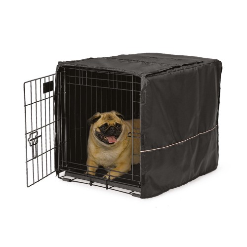 MW_2017_CVR-24_dog.jpg