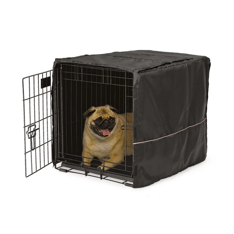 MW_2017_CVR-24_dog.jpg