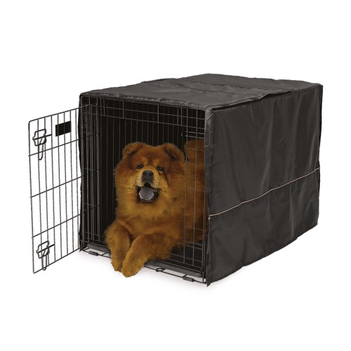 MW_2017_CVR-36_dog.jpg