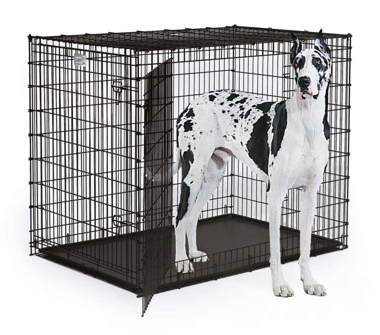 MW_2017_SL54DD_dog.jpg