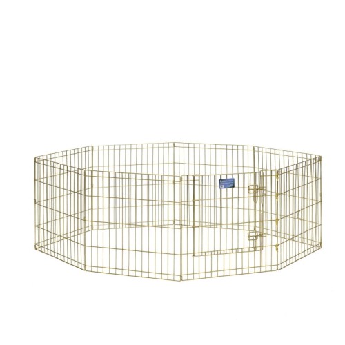 Płotek Zagroda Exercise Pens (61x61cm) - złoty ocynk, z drzwiami i ramką Step-Thru- marki MidWest