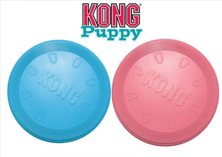 KONG FLYER PUPPY3.jpg