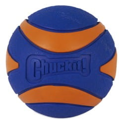 ultra-squeaker-ball-xl2.jpg