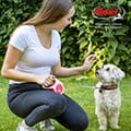 Smycz Flexi New Comfort – czarna 5 m, rozmiar M - taśma 