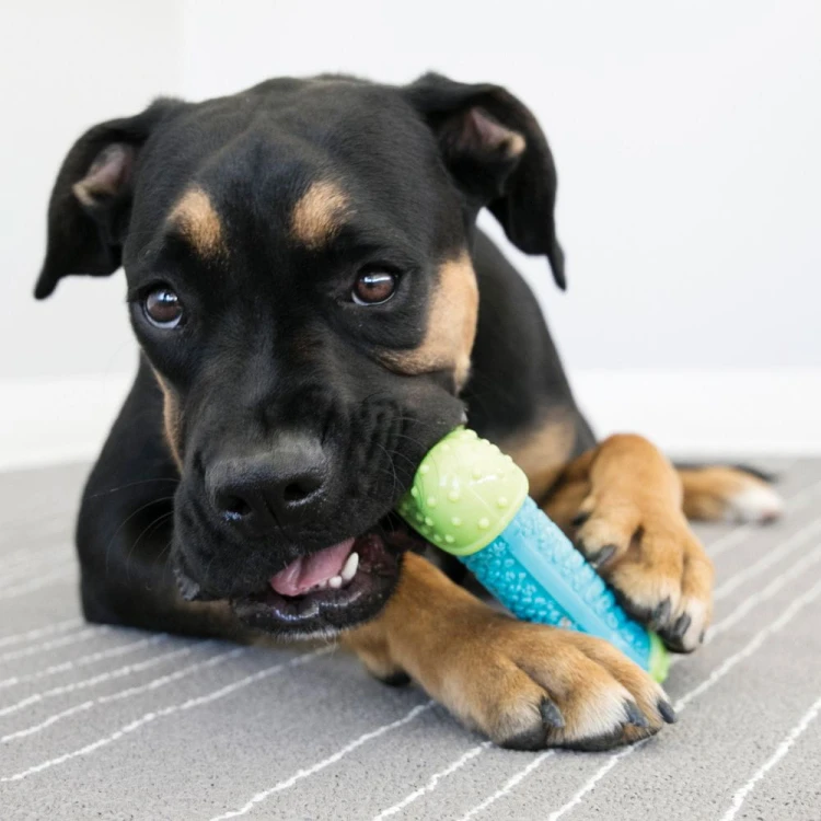 corestrength bone2.jpg