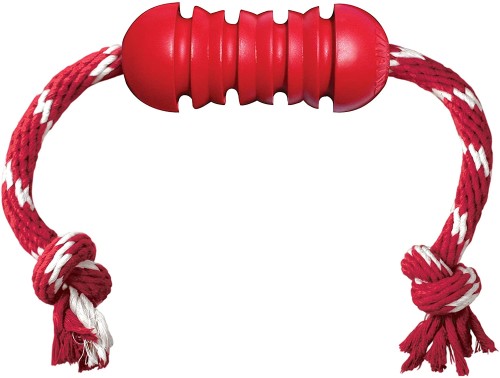 Kong dental with rope.jpg