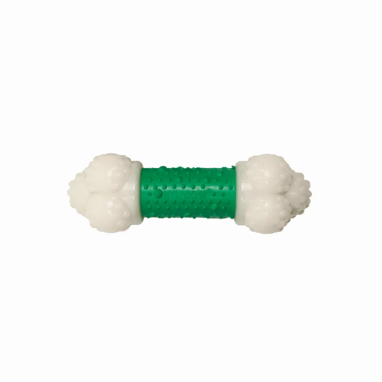 mocny gryzak dla małych psów nylabone trwały