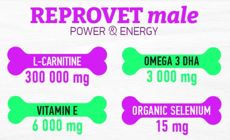karma uzupełniająca z kwasami omega 3 i L-karnityną.jpg