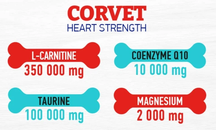 dietetyczna karma uzupełniająca z L-karnityną, koenzymem Q10 i kwasami omega 3.jpg
