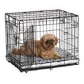 Klatka metalowa Life Stages 1624 DD (63x46x50)- marki Midwest 