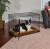 1536DD_dog_40236-CN.jpg