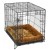 Cinnamon in Crate on White.jpg