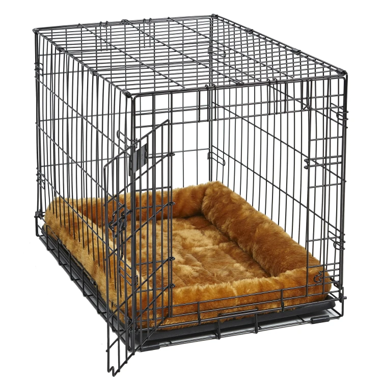 Cinnamon in Crate on White.jpg