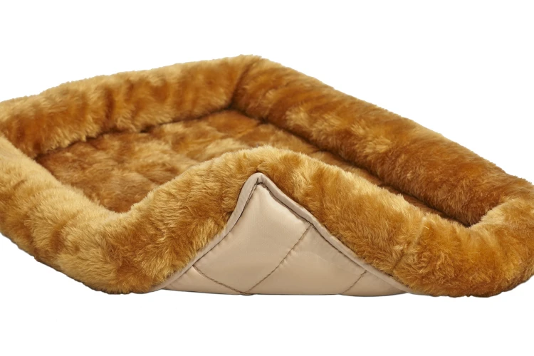 Cinnamon Underside Detail on White.jpg