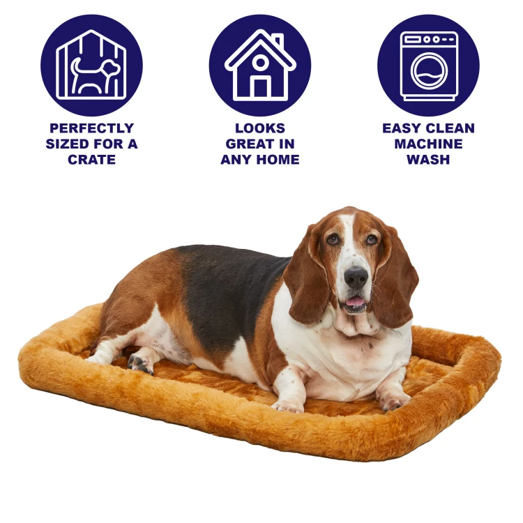 Medium Icon Cinnamon.jpg