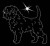 sylwetka A affenpinscher