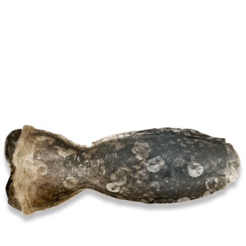 ICEPAW Lachskauknochen – gryzakiz łososia dla psów.png