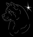 Koszulka z Aplikacją Diamentową - rasa Akita Amerykańska (T-shirt w zestawie) 