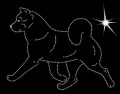 Koszulka z Aplikacją Diamentową - rasa Akita Amerykańska (T-shirt w zestawie) 