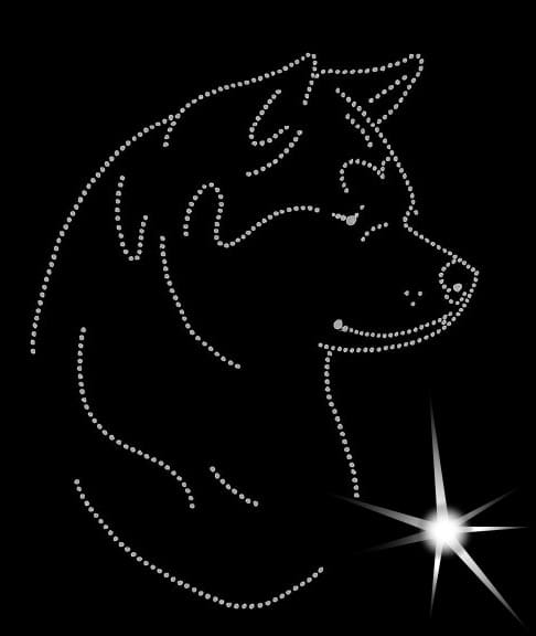 akita inu głowa aplikacja diamentowa.jpg