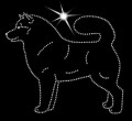 Koszulka z Aplikacją Diamentową - rasa  Alaskan Malamute (T-shirt w zestawie)