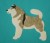 Alaskan Malamute bez diamentów aplikacja filcowa.jpg