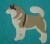 Alaskan Malamute biało-płowy aplikacja filcowa.jpg