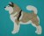 Alaskan Malamute biało-szary aplikacja filcowa.jpg