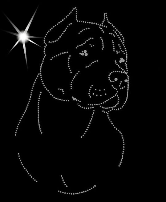 American Staffordshire Terrier aplikacja diamentowa głowa 2.jpg