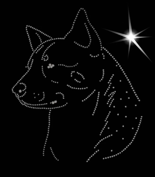 Australijski Cattle Dog aplikacja diamentowa głowa.jpg