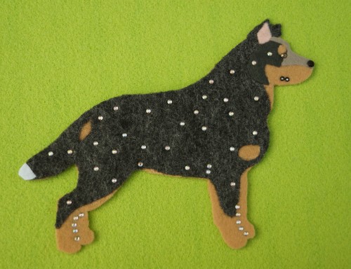 Australijski Cattle Dog filc.jpg