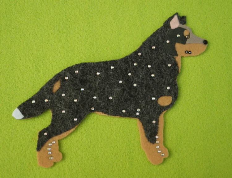 Australijski Cattle Dog filc.jpg