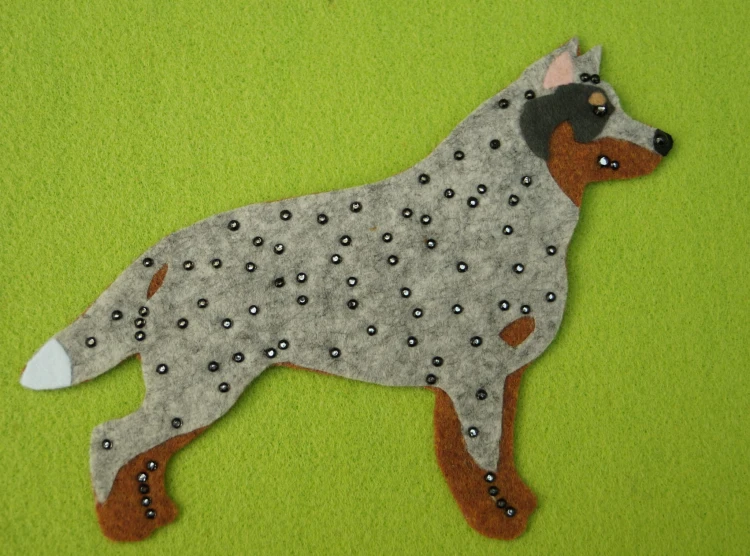 Australijski Cattle Dog szary filc.jpg