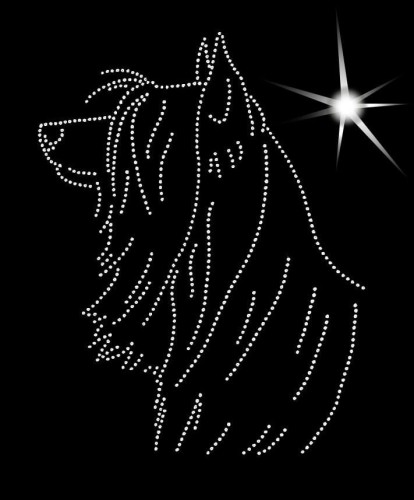 Australijski Silky Terrier diamenty głowa.jpg