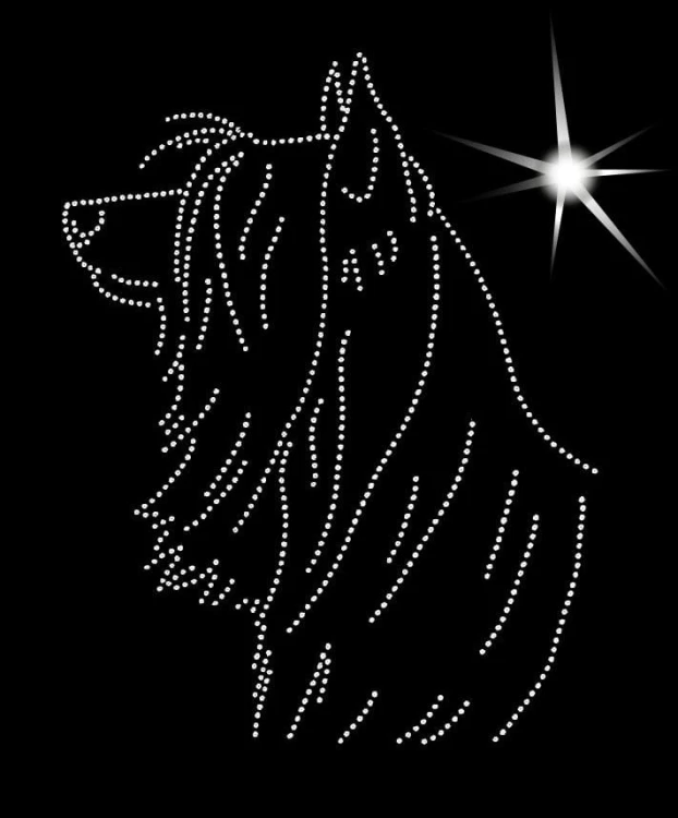 Australijski Silky Terrier diamenty głowa.jpg