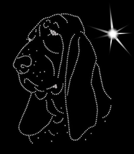 Basset Hound aplikacja diamnetowa głowa.jpg