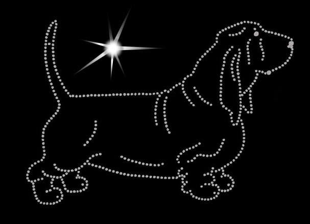 Basset Hound aplikacja diamnetowa sylwetka.jpg