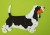 Basset Hound aplikacja filcowa trikolor.jpg