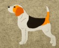 Koszulka z Aplikacją Filcową - rasa Beagle (T-shirt w zestawie) 