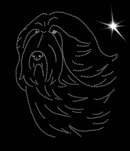 Bearded Collie aplikacja diamentowa głowa.jpg