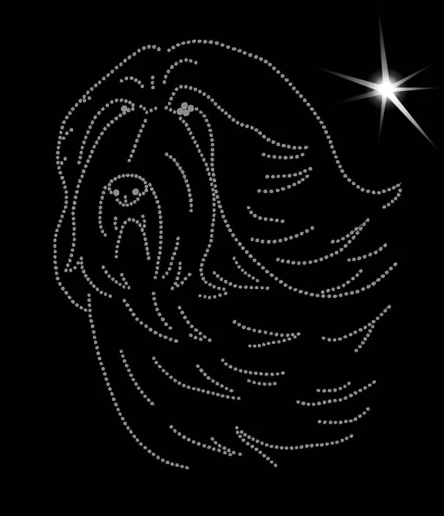 Bearded Collie aplikacja diamentowa głowa.jpg