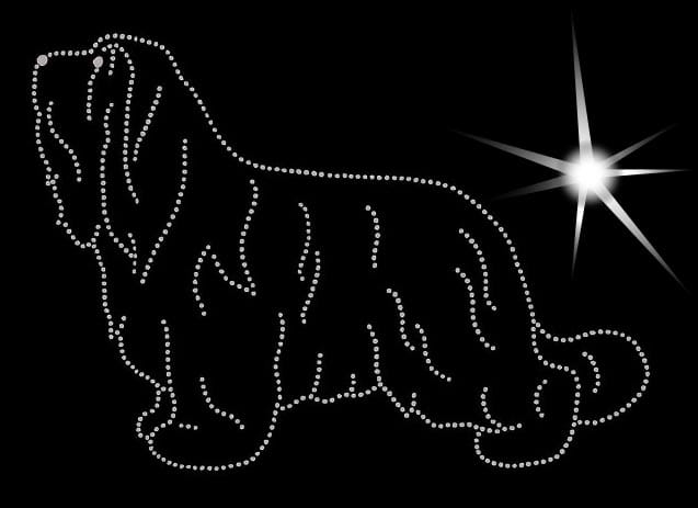 Bearded Collie aplikacja diamentowa sylwetka a.jpg