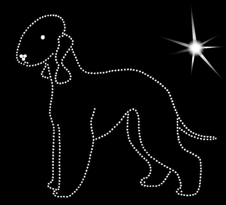 Bedlington terrier sylwetka A - aplikacja diamentowa.jpg