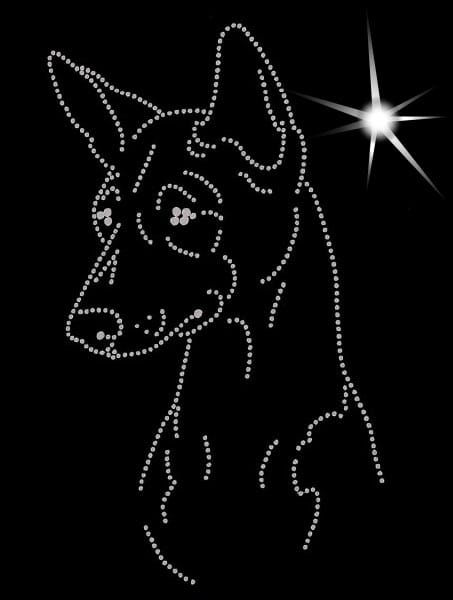 Basenji głowa diamenty.jpg