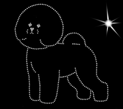 Bichon Frise aplikacja diamentowa sylwetka A.jpg