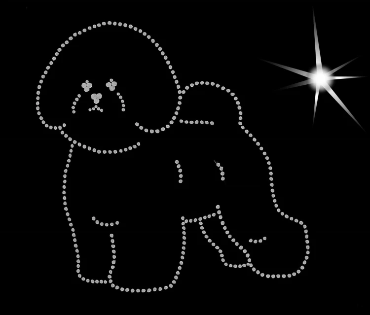 Bichon Frise aplikacja diamentowa sylwetka B.jpg