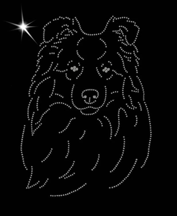 Border Collie aplikacja diamentowa głowa.jpg