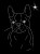 Boston Terrier aplikacja diamentowa głowa.jpg
