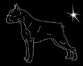 Koszulka z Aplikacją Diamentową - rasa Boston Terrier (T-shirt w zestawie)