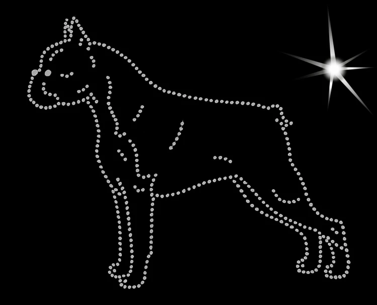 Boston Terrier aplikacja diamentowa sylwetka A.jpg